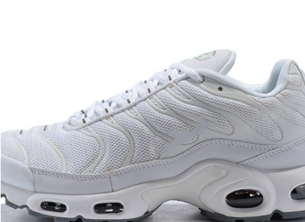 Nike Air Max Plus Par Sneakers – Flerfarvet